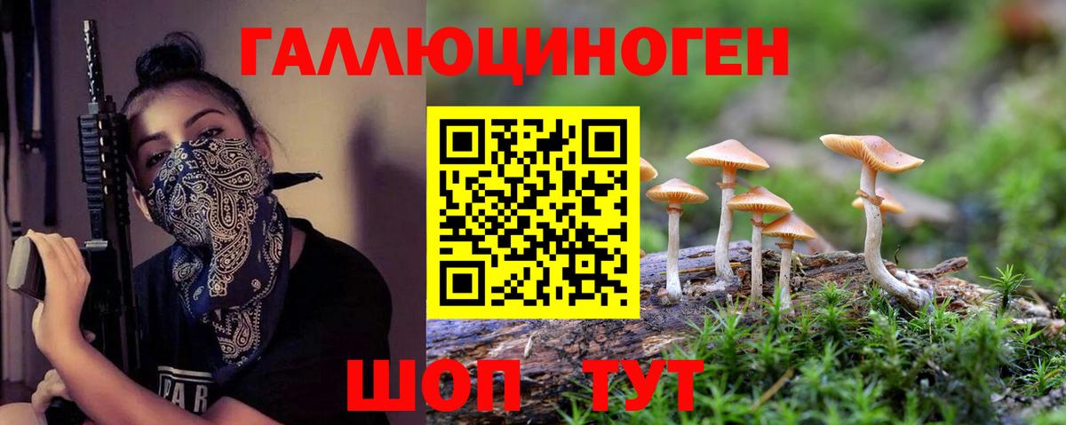 Псилоцибиновые грибы Psilocybine cubensis  Вход с VPN  Мичуринск 